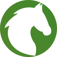 horse bedding icon